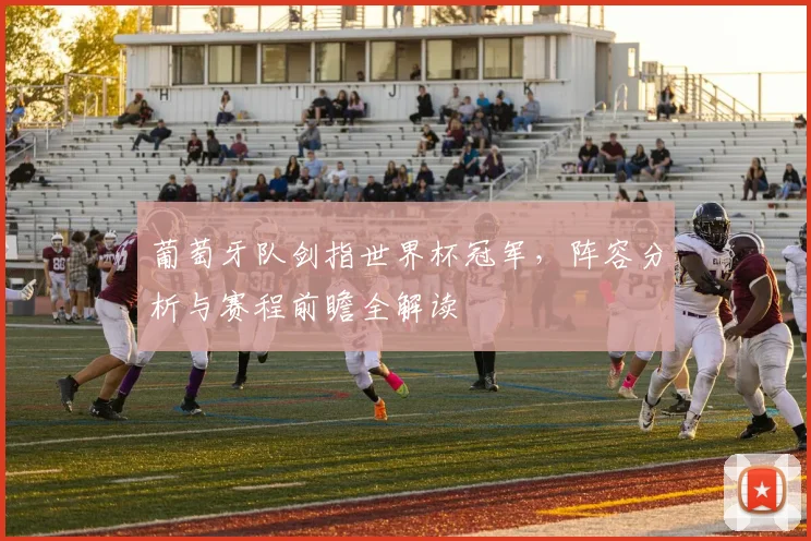葡萄牙队剑指世界杯冠军，阵容分析与赛程前瞻全解读