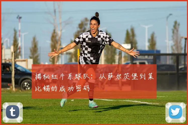 揭秘红牛系球队:从萨尔茨堡到莱比锡的成功密码