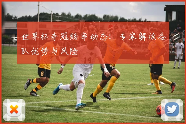 世界杯夺冠赔率动态：专家解读各队优势与风险